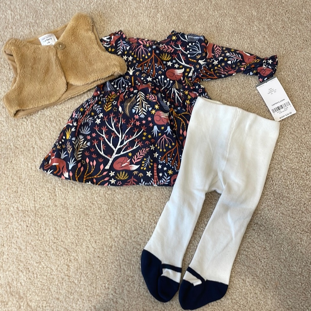 NWT Carters outfit